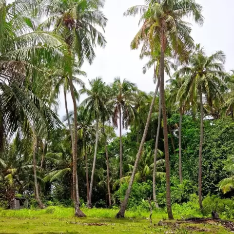 Mendorong Kemandirian Ekonomi Petani Lokal